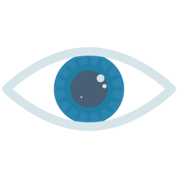 Eye  Icon