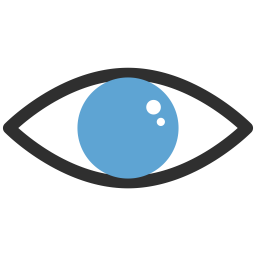 Eye  Icon