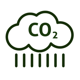 Co 2  Icon