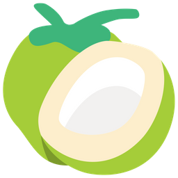 Coconut Slice  Icon