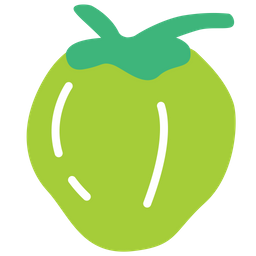 Coconut  Icon