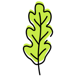 Arugula  Icon