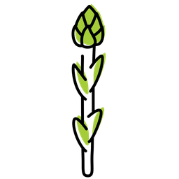 Asparagus  Icon