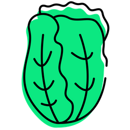 Chinese Cabbage  Icon