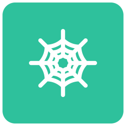 Cobweb  Icon