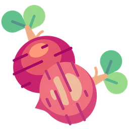 Beetroot  Icon