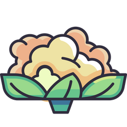 Cauliflower  Icon