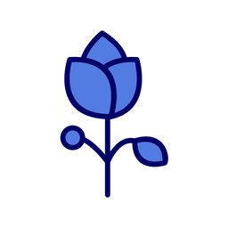 Flower  Icon