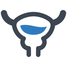 Bladder Organ  Icon