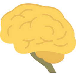 Cerebro  Icono