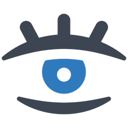 Eye  Icon