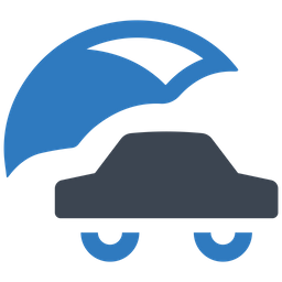 Auto insurance  Icon