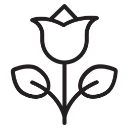 Flower  Icon