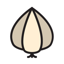 Garlic  Icon