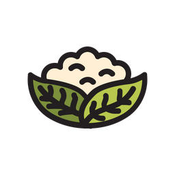 Cauliflower  Icon