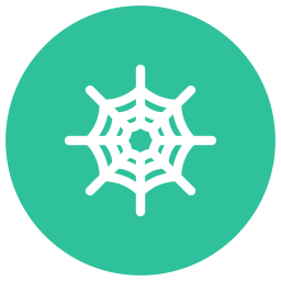 Cobweb  Icon