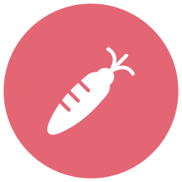 Carrot  Icon