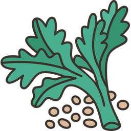 Coriander  Icon