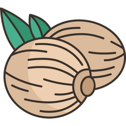 Nutmeg  Icon