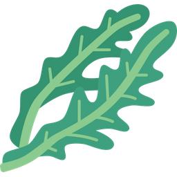 Arugula  Icon