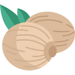 Nutmeg  Icon