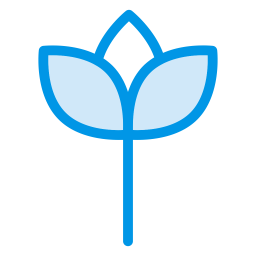 Blume  Symbol