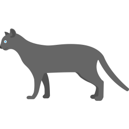 Cat  Icon