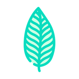 Calathea Leaf  Icon