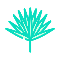 Chamaerops Leaf  Icon