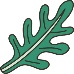 Arugula  Icon