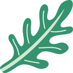 Arugula  Icon