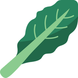 Kale  Icon