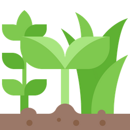 Nature plant  Icon