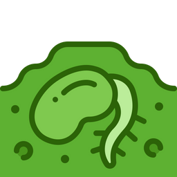 Bean sprout  Icon