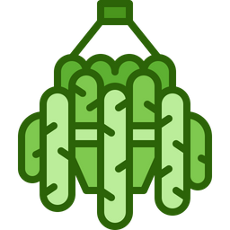 Hanging plant  Icon