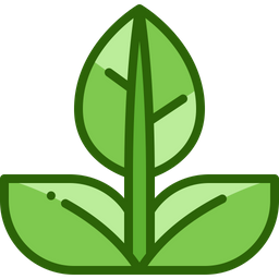 Leaf  Icon