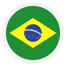 Brazil  Icon