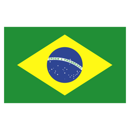 Brazil  Icon