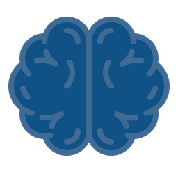 Brain  Icon