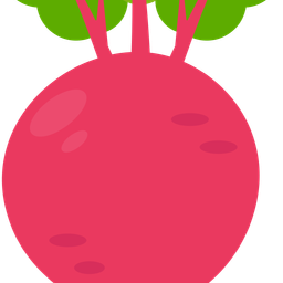 Beetroot  Icon