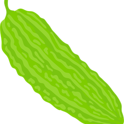 Bitter gourd  Icon