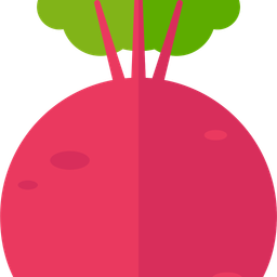 Beetroot  Icon