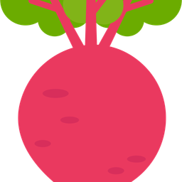 Beetroot  Icon