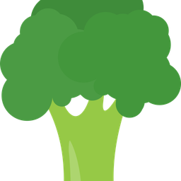 Broccoli  Icon