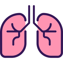 Human lungs  Icon