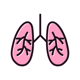 Lungs  Icon