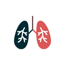 Pulmões  Ícone