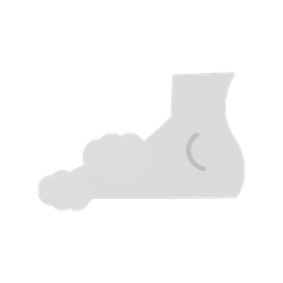 Foot Cleaning  Icon