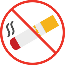 No Smoking  Icon