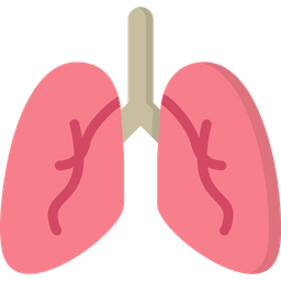 Lungs  Icon